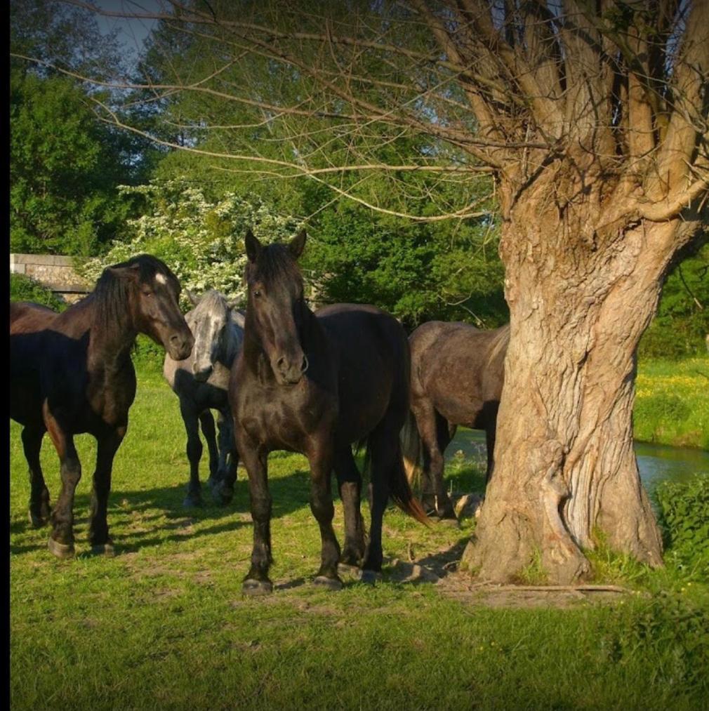 La Meuniere Villa Jouy  Dış mekan fotoğraf