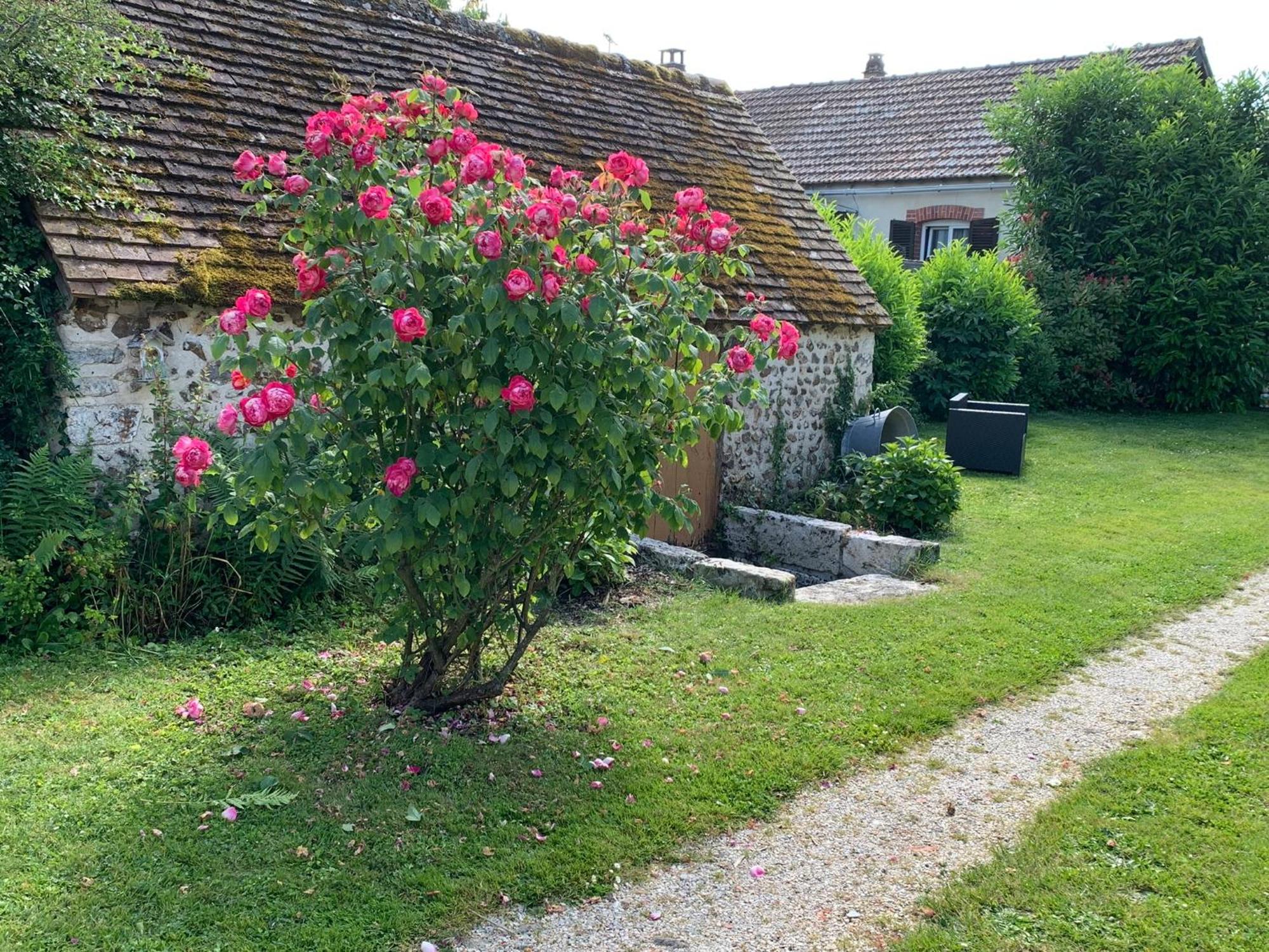La Meuniere Villa Jouy  Dış mekan fotoğraf